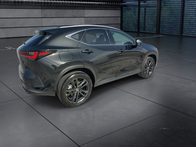 Used 2025 Lexus NX SUV