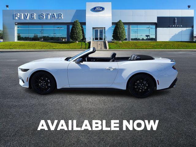 New 2025 White Ford EcoBoost image 4