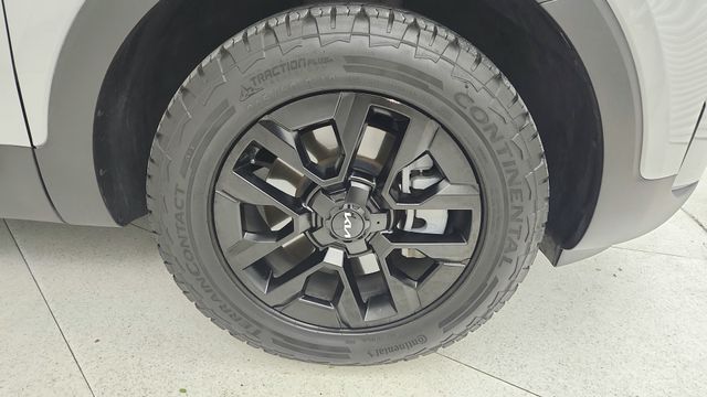 2024 Kia Telluride SX-Prestige X-Pro - 8