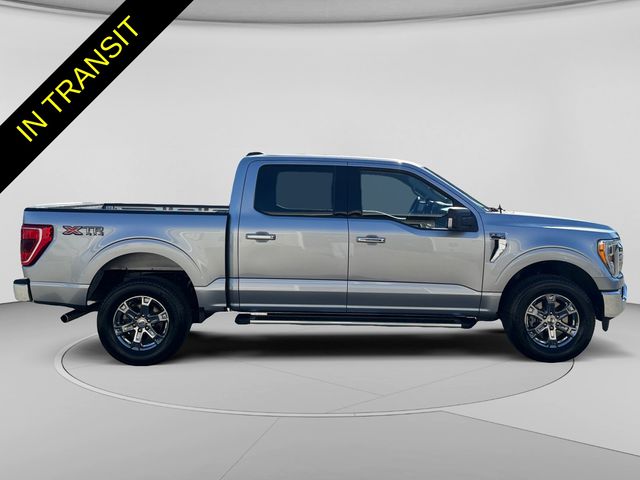Used 2023 Silver Ford XLT image 6