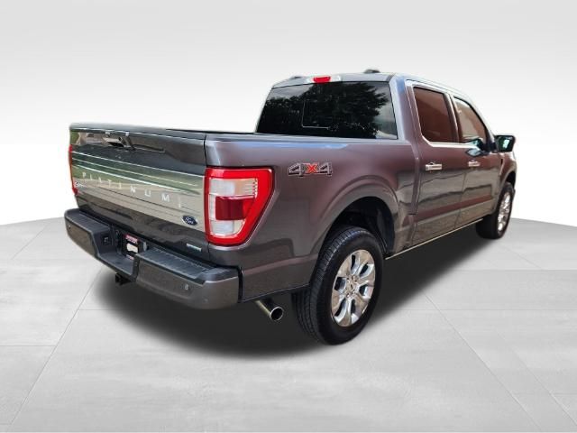 2023 Ford F-150 Platinum 5