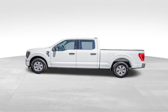 2023 Ford F-150 XLT 4