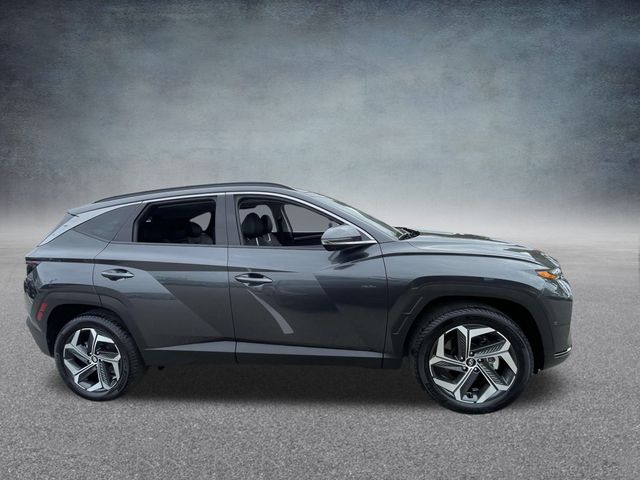 2024 Hyundai Tucson Limited 3