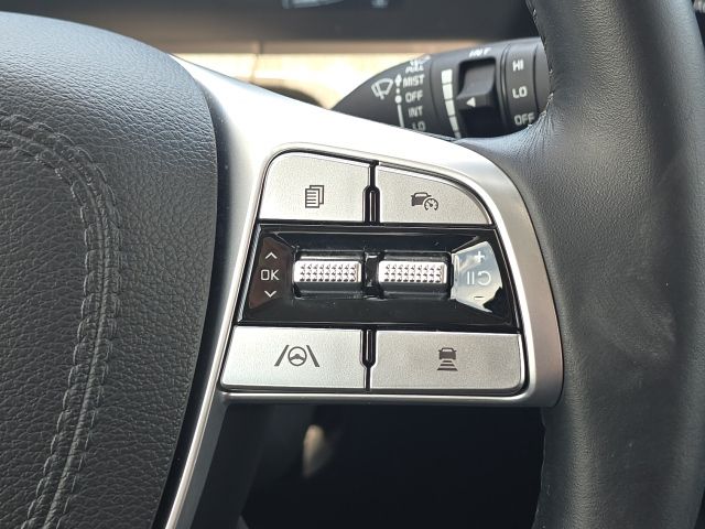 2025 Kia Telluride EX:46233A