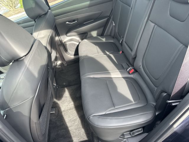 Certified Used 2025 Blue Hyundai SEL Convenience image 27