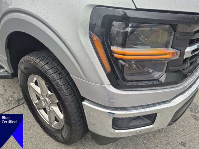 Used 2024 Silver Ford XLT image 9