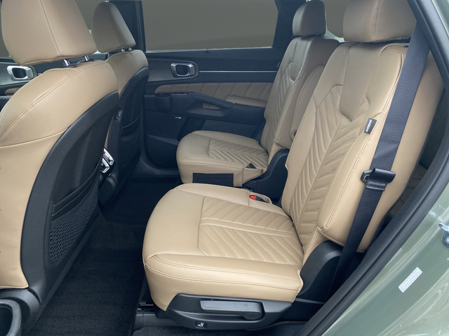 New 2026 Green Kia X-Line SX Prestige image 39