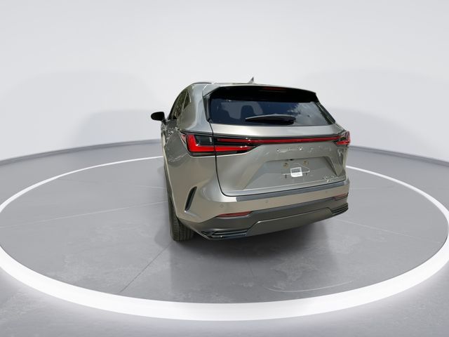 2025 Lexus NX - $45,998