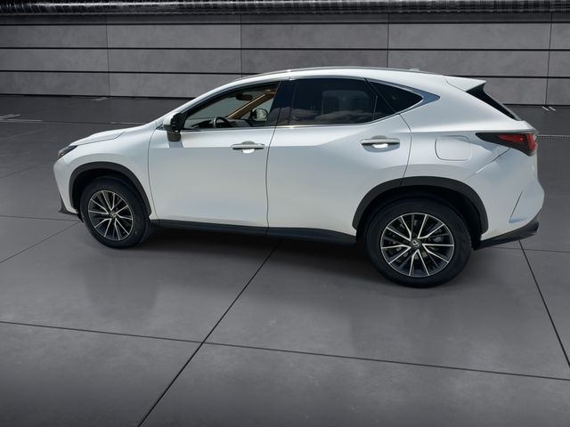 Used 2024 Lexus NX SUV