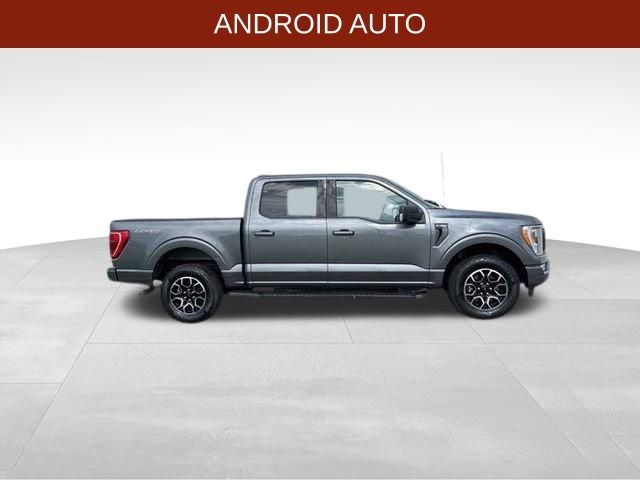 2023 Ford F-150 XLT photo