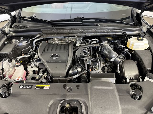 2024 Lexus RX RX photo