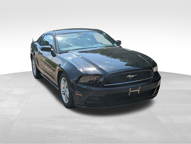 2014 Ford Mustang V6 photo
