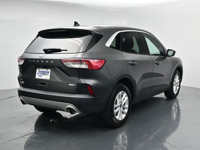 Certified Used 2020 Gray Ford SE image 7