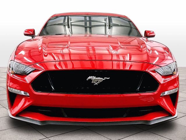 2019 Ford Mustang GT Red at Grove City Ford