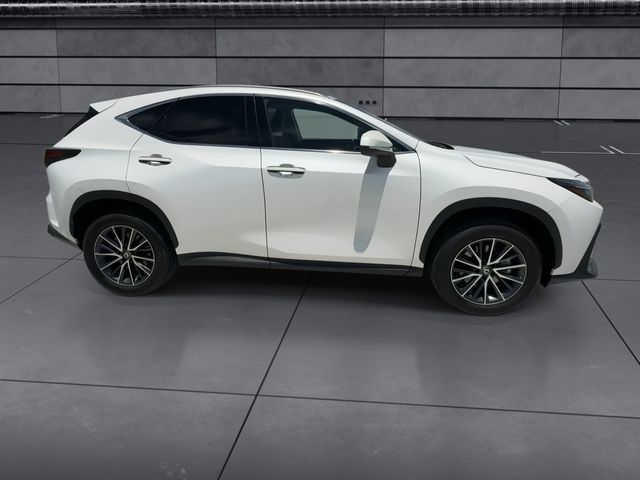 2024 Lexus NX - $40,998