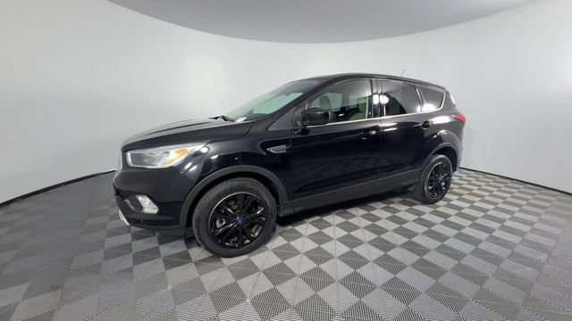 Used 2019 Ford Escape For Sale in Indianapolis, IN