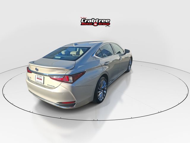 Used 2021 Lexus ES Sedan