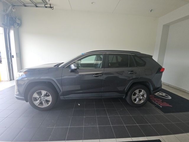 2025 Toyota RAV4 XLE Gray at Classic Chevrolet Galveston