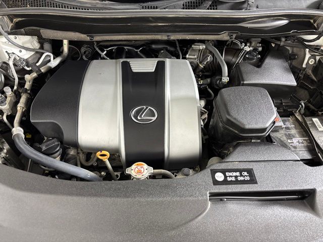 Used 2019 Lexus RX SUV