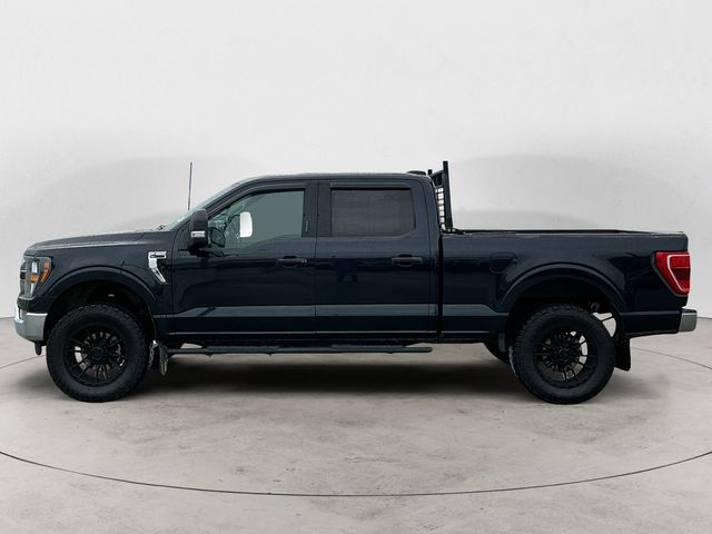 Used 2023 Blue Ford XLT image 8