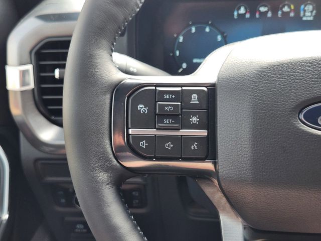 2025 Ford F-150 Platinum photo