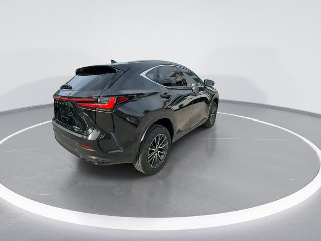 Used 2024 Lexus NX SUV
