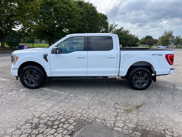 Used 2023 Ford F-150 Truck
