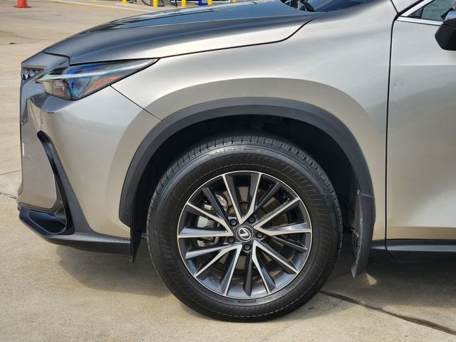 2024 Lexus NX 250 Premium - 7