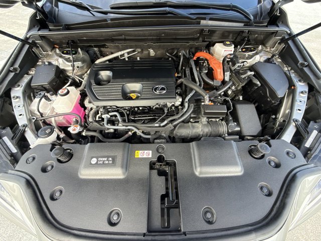 Used 2025 Lexus NX SUV