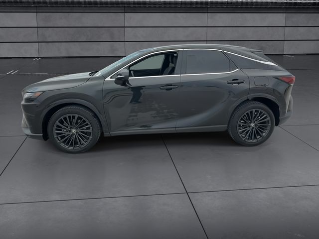 Used 2025 Lexus RX SUV