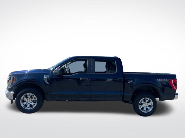 2023 Ford F-150 XLT 2