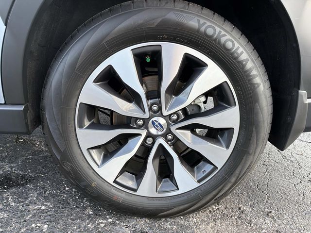 Used 2025 Subaru Outback SUV