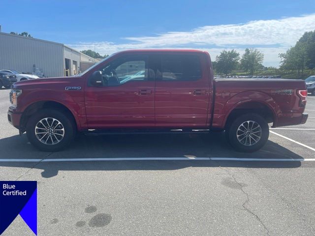 Used 2019 Red Ford XLT image 2