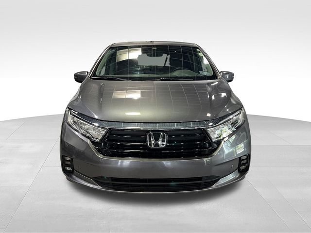 2024 Honda Odyssey Elite Gray at Stokes Honda North
