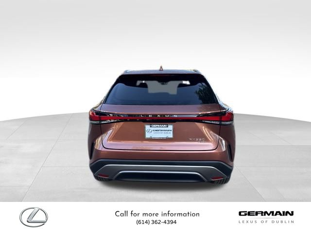 2025 Lexus RX 350 Luxury photo 6