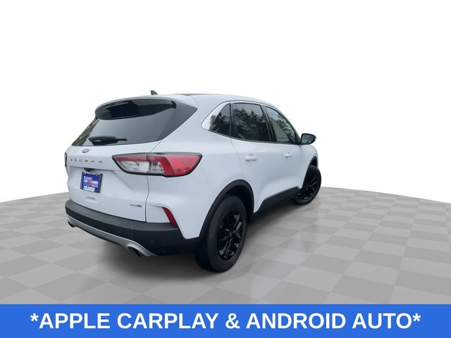 Used 2020 Ford Escape For Sale in New Hudson, MI