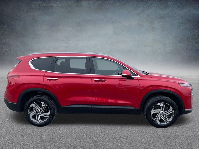 2023 Hyundai Santa Fe SEL 5