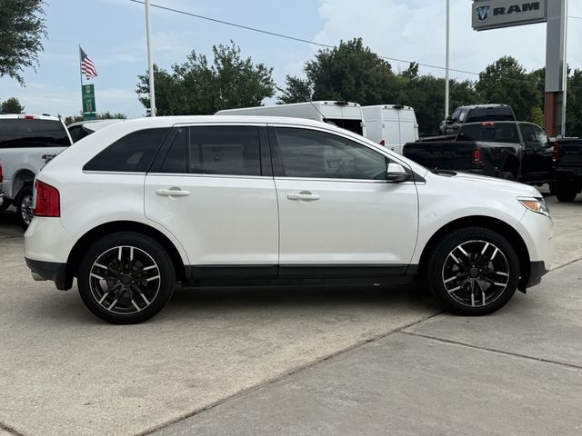 2013 Ford Edge Limited White at Central Houston Nissan