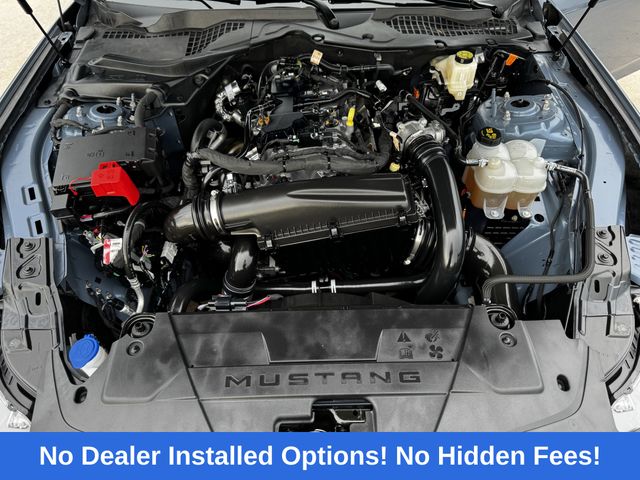 2025 Ford Mustang EcoBoost Blue at Emmons Autoplex