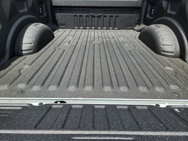 2025 Avalanche Ford Super Duty F-250 SRW Lariat 4X4 Truck