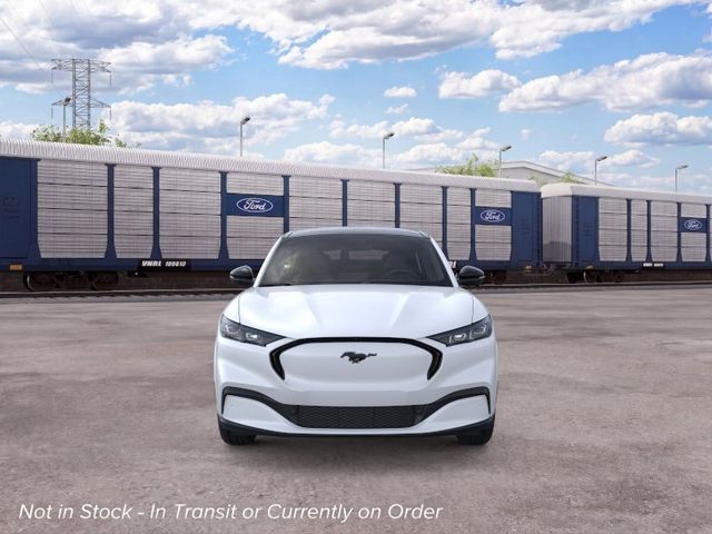 New 2026 White Ford Premium image 6