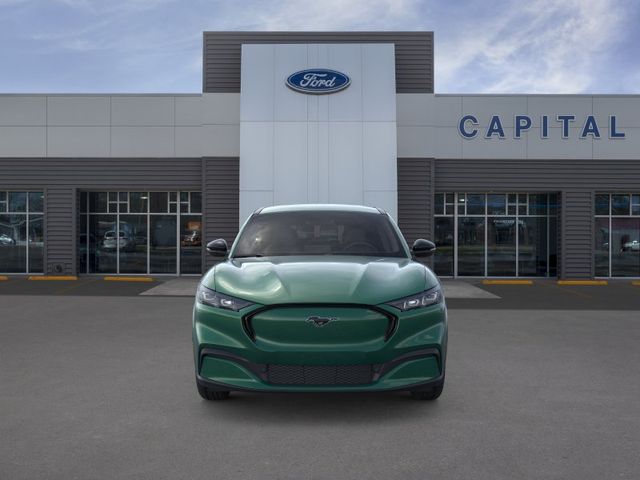 New 2026 Green Ford Premium image 6