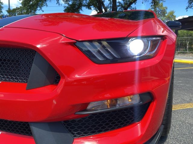 Used Car 2017 Ford Mustang  Shelby Gt350 For Sale Under $60,000 In San Antonio, Texas