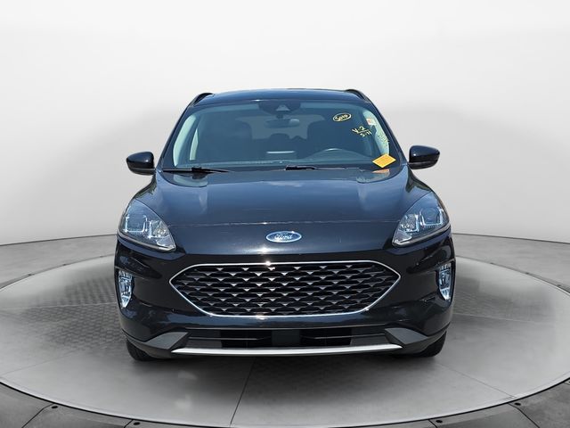 FordEscape8