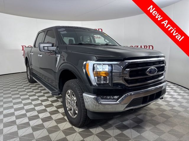 2023 Agate Black Metallic Ford F-150 XLT Truck
