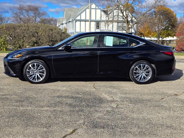 2019 Lexus ES 350 16