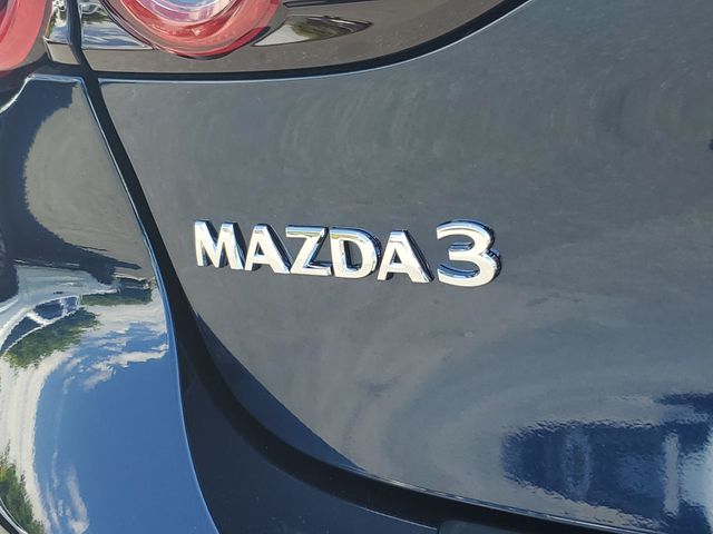 Miniatura 17