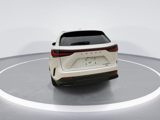 2025 Lexus NX - $44,998