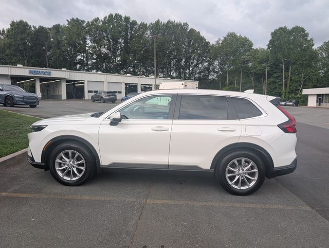 Used 2024 White Honda EX-L image 2