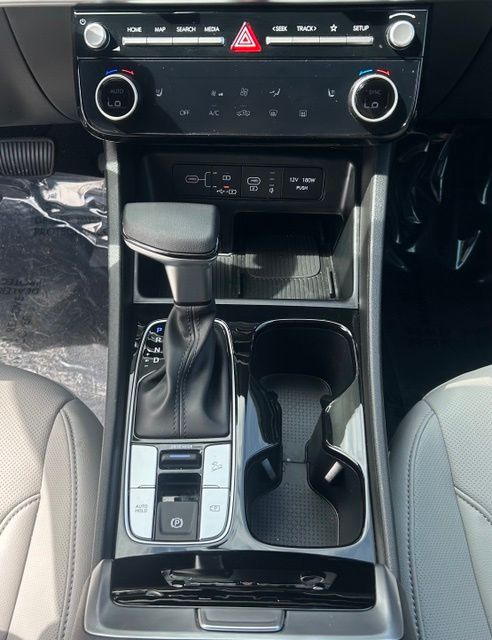 HyundaiSanta Cruz13